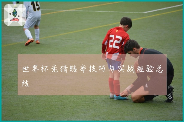 世界杯竞猜赔率技巧与实战经验总结