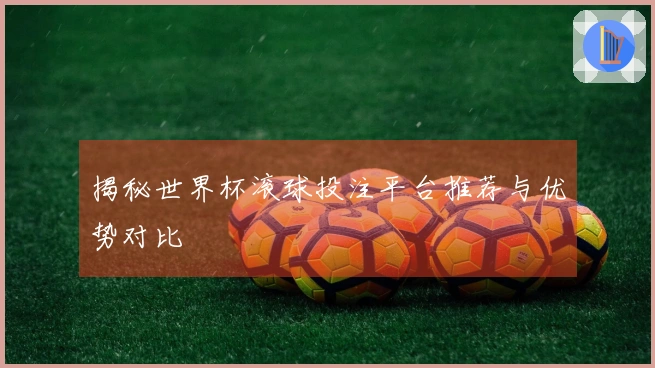 揭秘世界杯滚球投注平台推荐与优势对比
