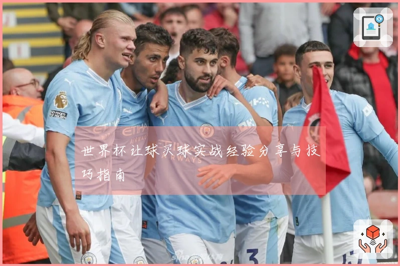 世界杯让球买球实战经验分享与技巧指南