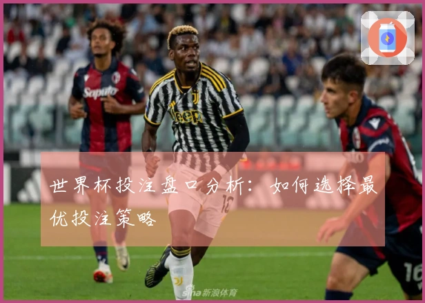 世界杯投注盘口分析：如何选择最优投注策略