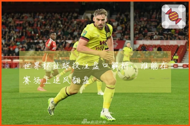 世界杯让球投注盘口解析，谁能在赛场上逆风翻盘