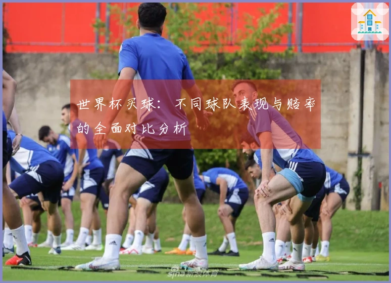 世界杯买球：不同球队表现与赔率的全面对比分析