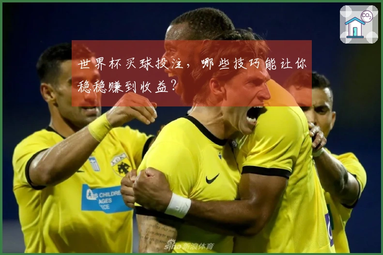 世界杯买球投注，哪些技巧能让你稳稳赚到收益？