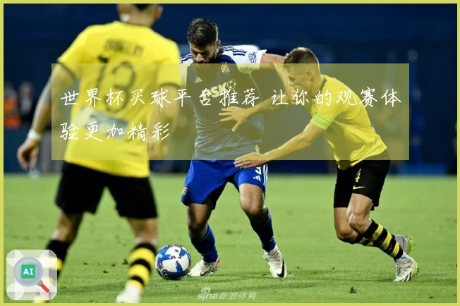 世界杯买球平台推荐 让你的观赛体验更加精彩