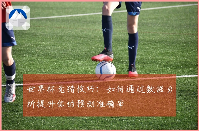 世界杯竞猜技巧：如何通过数据分析提升你的预测准确率