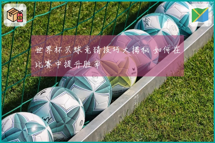 世界杯买球竞猜技巧大揭秘 如何在比赛中提升胜率