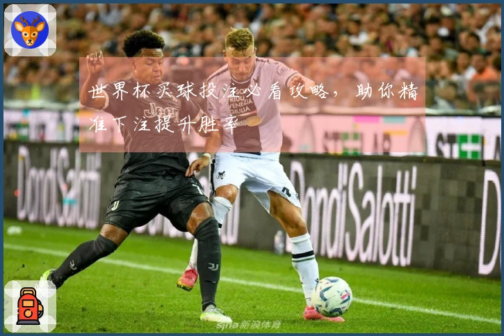 世界杯买球投注必看攻略，助你精准下注提升胜率