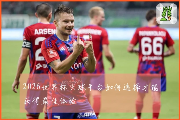 2026世界杯买球平台如何选择才能获得最佳体验