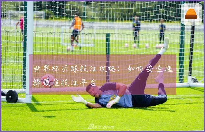 世界杯买球投注攻略：如何安全选择最佳投注平台