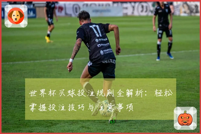 世界杯买球投注规则全解析：轻松掌握投注技巧与注意事项