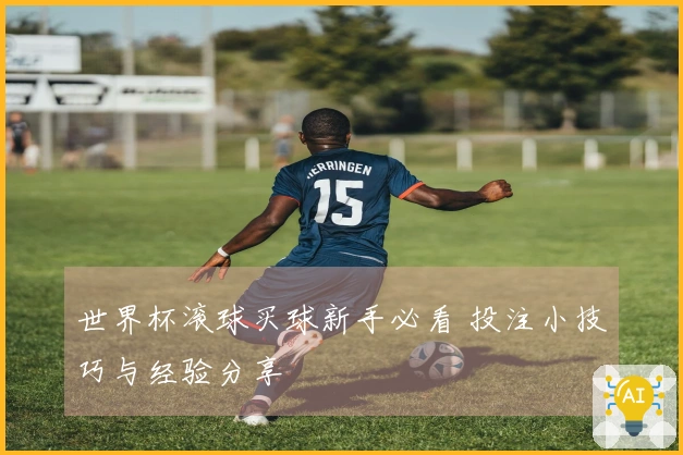 世界杯滚球买球新手必看 投注小技巧与经验分享