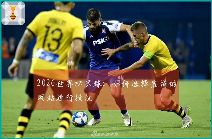 2026世界杯买球：如何选择靠谱的网站进行投注