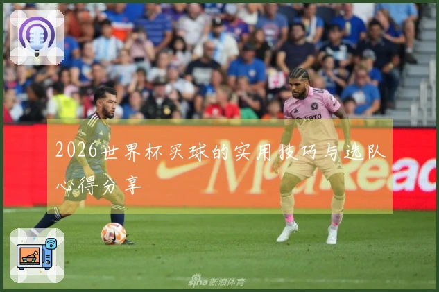 2026世界杯买球的实用技巧与选队心得分享
