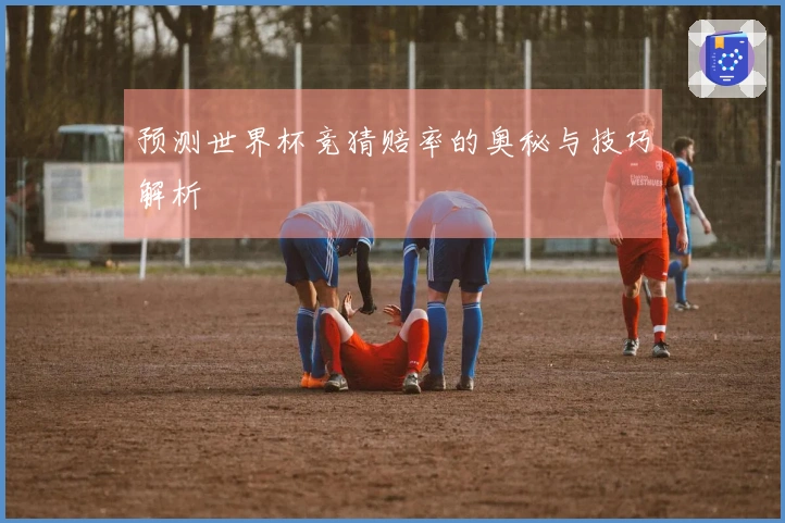 预测世界杯竞猜赔率的奥秘与技巧解析