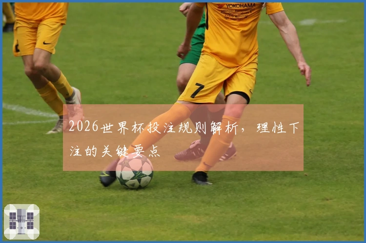 2026世界杯投注规则解析，理性下注的关键要点