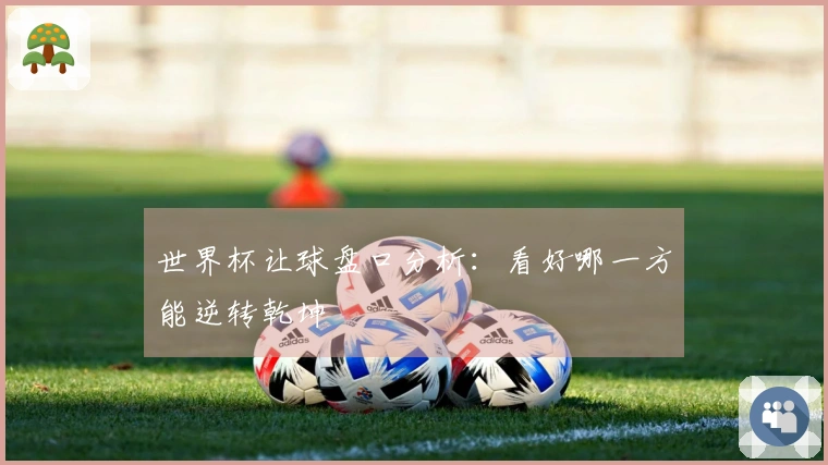 世界杯让球盘口分析：看好哪一方能逆转乾坤