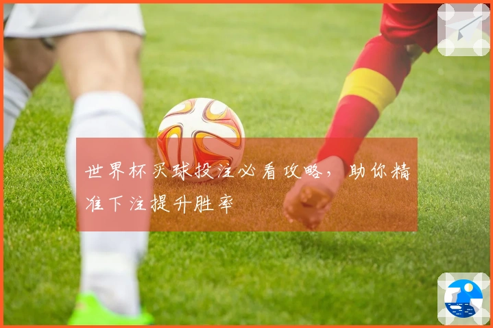 世界杯买球投注必看攻略，助你精准下注提升胜率