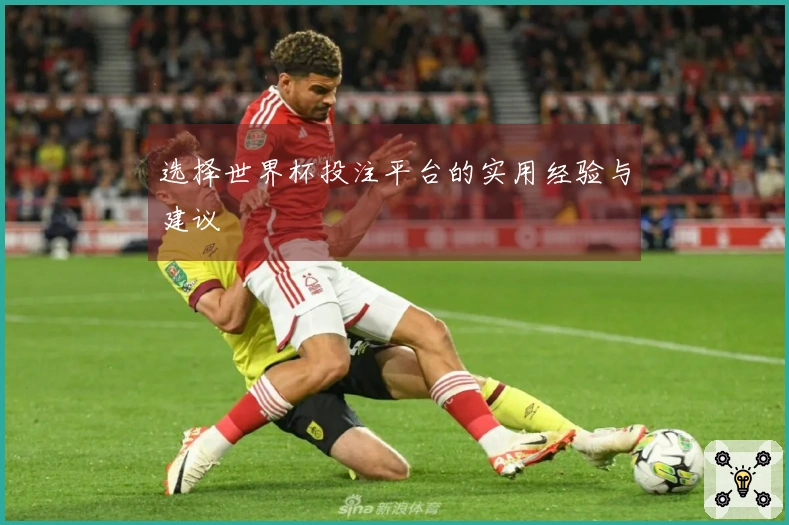 选择世界杯投注平台的实用经验与建议